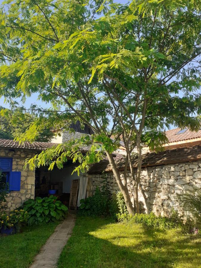 SokolarCasa Anca Cheile Nerei别墅 外观 照片