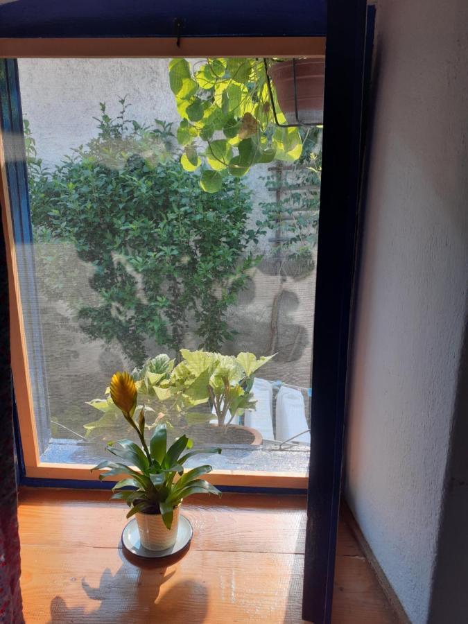 SokolarCasa Anca Cheile Nerei别墅 外观 照片