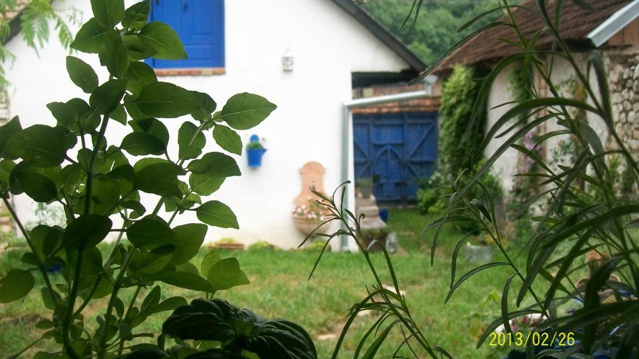 SokolarCasa Anca Cheile Nerei别墅 外观 照片