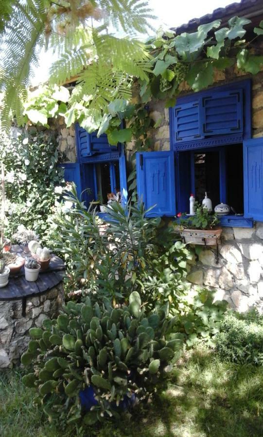 SokolarCasa Anca Cheile Nerei别墅 外观 照片