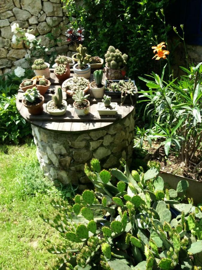 SokolarCasa Anca Cheile Nerei别墅 外观 照片