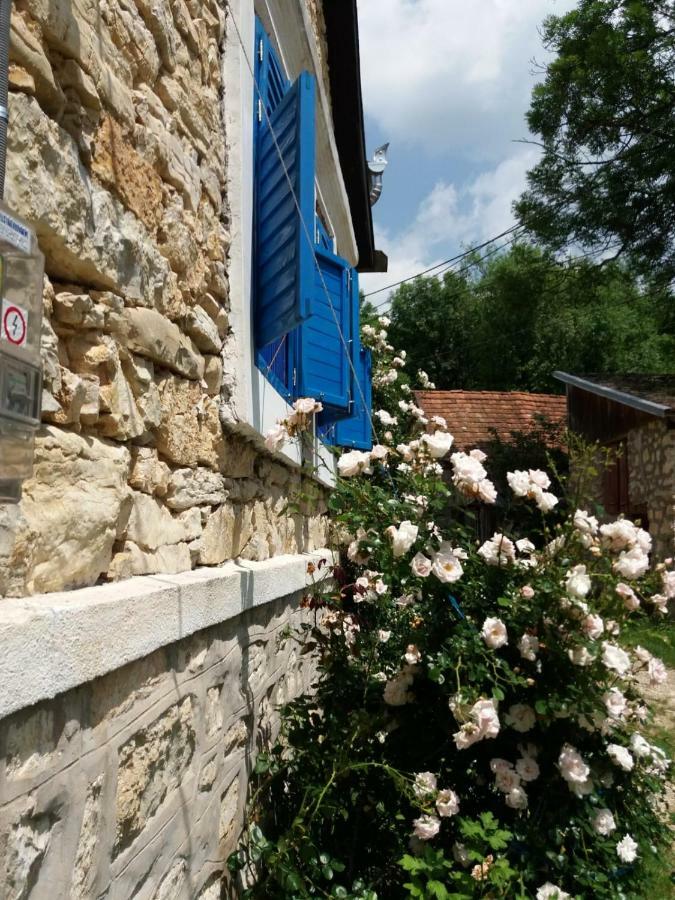 SokolarCasa Anca Cheile Nerei别墅 外观 照片